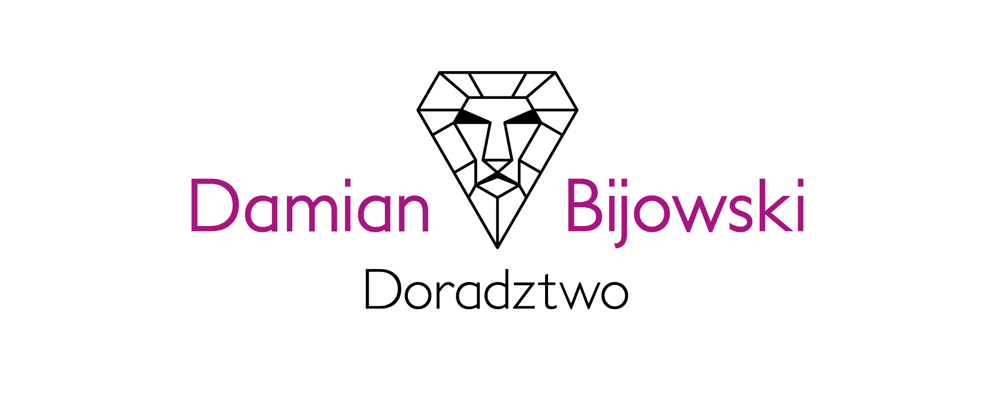 Damian Bijowski Doradztwo